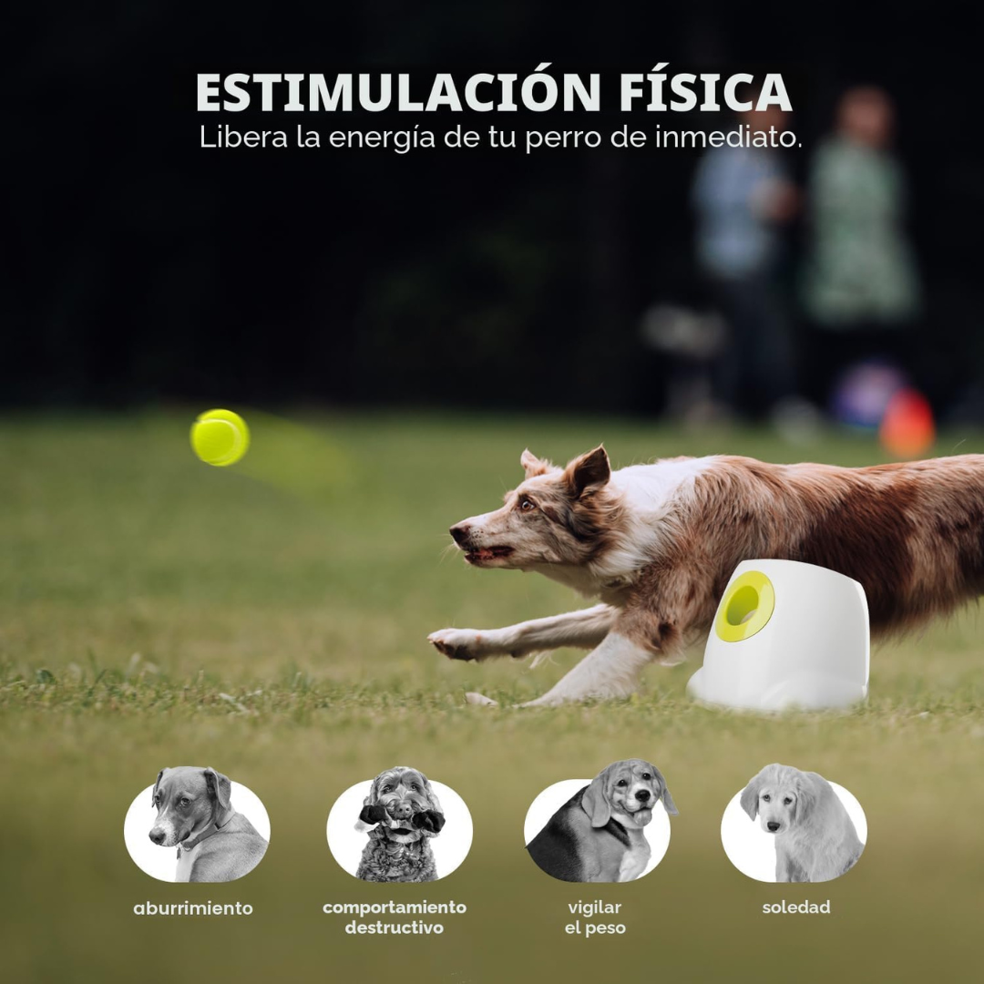 Lanzador de pelotas para perros automatico