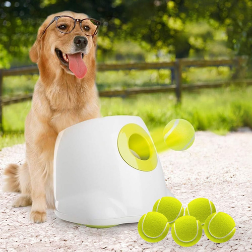 Lanzador de pelotas para perros automatico